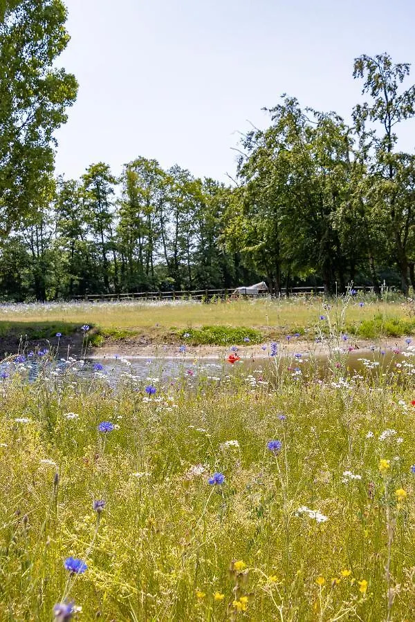 Equilodge 'T Blommeke - Reconnect With Nature Bruges