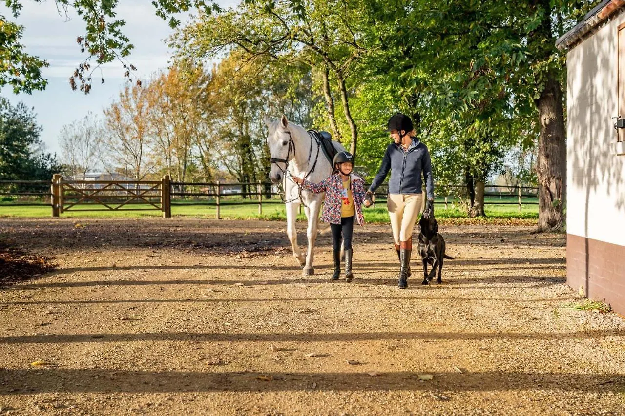 Equilodge 'T Blommeke - Reconnect With Nature Bruges 0*,  Belgium
