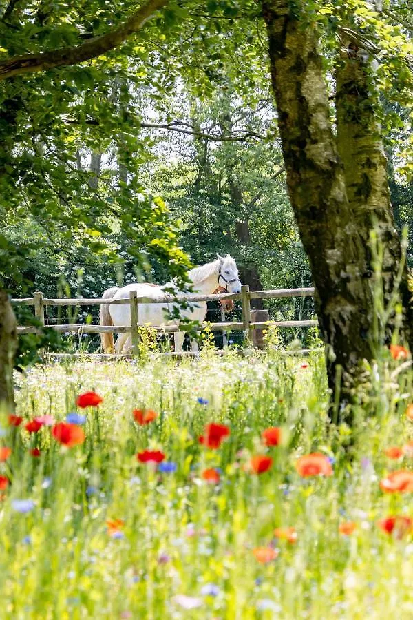 Equilodge 'T Blommeke - Reconnect With Nature Bruges 0*,  Belgium